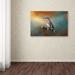 Trademark Fine Art 'Bluebird on the Fence' Graphic Art Print on Wrapped Canvas in White | 30 H x 47 W x 2 D in | Wayfair ALI14443-C3047GG