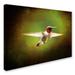 Trademark Fine Art 'Portrait of a Hummingbird in Flight' Graphic Art Print on Wrapped Canvas in White/Black | 35 H x 47 W x 2 D in | Wayfair