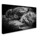 Trademark Fine Art 'Sleeping' Photographic Print on Wrapped Canvas in White | 30 H x 47 W x 2 D in | Wayfair 1X00349-C3047GG