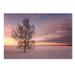 Trademark Fine Art 'Majesty of Nature' Photographic Print on Wrapped Canvas Canvas | 16 H x 24 W x 2 D in | Wayfair PSL01134-C1624GG