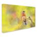 Trademark Fine Art 'Spring Bluebird' Graphic Art Print on Wrapped Canvas Canvas | 16 H x 24 W x 2 D in | Wayfair ALI14483-C1624GG