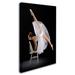 Trademark Fine Art 'Touch of Class' Photographic Print on Wrapped Canvas Metal | 32 H x 22 W x 2 D in | Wayfair 1X04223-C2232GG