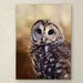 Trademark Fine Art 'The Wise Owl' Graphic Art Print on Wrapped Canvas in White/Black | 47 H x 35 W x 2 D in | Wayfair ALI14111-C3547GG