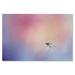 Trademark Fine Art 'I Wish I Could Fly - Bluebird 1' Graphic Art Print on Wrapped Canvas in White | 30 H x 47 W x 2 D in | Wayfair ALI14332-C3047GG