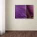 Trademark Fine Art 'Orchid Abstract' Photographic Print on Wrapped Canvas Canvas | 14 H x 19 W x 2 D in | Wayfair KS01362-C1419GG