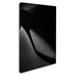 Trademark Fine Art 'Black Heel Down' Graphic Art Print on Wrapped Canvas in Black/White | 19 H x 12 W x 2 D in | Wayfair 1X04238-C1219GG