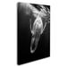 Trademark Fine Art 'Black & Whale' Photographic Print on Wrapped Canvas in Black/White | 19 H x 12 W x 2 D in | Wayfair 1X04296-C1219GG