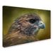 Trademark Fine Art 'Red Tailed Hawk at Reelfoot' Graphic Art Print on Wrapped Canvas Metal | 22 H x 32 W x 2 D in | Wayfair ALI13938-C2232GG