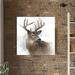 Loon Peak® 'Rainsoft Deer' Painting Print on Wrapped Canvas in Brown | 28 H x 28 W x 1.5 D in | Wayfair LNPK9046 39986081