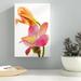 Latitude Run® 'Orchid Morphing 3' Graphic Art on Wrapped Canvas Canvas | 18 H x 12 W x 2 D in | Wayfair LTDR7552 41007850