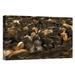 East Urban Home Ecuador Andes Mountains 'Cattle Herded by Chagras During The Annual Round-Up' - Photograph Print on Canvas in Black/Brown | Wayfair