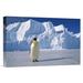 East Urban Home Antarctica Auster EP Rookery 'Emperor Penguin' Photographic Print on Wrapped Canvas in Blue | 20 H x 30 W x 1.5 D in | Wayfair