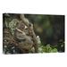 East Urban Home Koala Mother & Three Month Old Joey - Photograph Print on Canvas in White | 24 H x 36 W x 1.5 D in | Wayfair NNAI6987 39917841