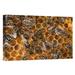 East Urban Home Honey Bee Colony on Honeycomb - Photograph Print on Canvas in Yellow | 20 H x 30 W x 1.5 D in | Wayfair NNAI3006 39913849