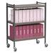 Omnimed Big Beam Standard 16 Cap File Cart Metal in Brown/Gray | 43.75 H x 34.5 W x 17 D in | Wayfair 261214-WG