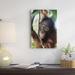 East Urban Home Borneo Tanjung Puting National Park 'Orangutan Juvenile' - Photograph Print on Canvas in Brown/Green | Wayfair NNAI2253 39913095