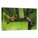 East Urban Home Ecuador Esmeraldas Province Choco Rainforest 'Splendid Poison Dart Frogs' - Photograph Print on Canvas in Green | Wayfair