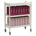 Omnimed Big Beam Standard 16 Cap File Cart Metal in Brown | 43.75 H x 34.5 W x 17 D in | Wayfair 261214-BG