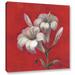 Red Barrel Studio® Christmas Flowers by Silvia Vassileva - Print on Canvas in Green/Red | 18 H x 18 W x 2 D in | Wayfair RBRS2307 39390874