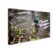 Trademark Fine Art 'Mallard' by Jason Shaffer Photographic Print on Wrapped Canvas Metal in Green | 22 H x 32 W x 2 D in | Wayfair JS0073-C2232GG