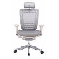 Symple Stuff Ergonomic High Back Mesh Executive Chair w/ Headrest, Seat Slide, Adj Lumbar Support /Upholstered/Mesh in Gray | Wayfair