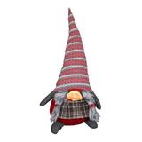 The Holiday Aisle® Standing Gnome Girl Freydis Stuffed Holiday Accent | 30 H x 11.8 W x 11 D in | Wayfair THDA6369 43172664