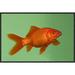 East Urban Home 'Goldfish' Framed Photographic Print on Canvas in Green/Orange | 16 H x 24 W x 1.5 D in | Wayfair URBH4899 38223970