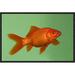 East Urban Home 'Goldfish' Framed Photographic Print on Canvas in Green/Orange | 12 H x 18 W x 1.5 D in | Wayfair URBH4899 38223969