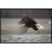East Urban Home 'Bald Eagle Flying' Framed Photographic Print on Canvas in Gray | 16 H x 24 W x 1.5 D in | Wayfair URBH4950 38224174