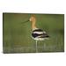 East Urban Home 'American Avocet' Photographic Print on Canvas in Green | 20 H x 30 W x 1.5 D in | Wayfair URBH8252 38406374