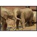 East Urban Home 'African Elephant Orphans Playing' Framed Photographic Print on Canvas in Brown | 20 H x 30 W x 1.5 D in | Wayfair