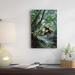 East Urban Home 'Bromeliads Growing In Trees Along Stream' Photographic Print on Canvas in White | 36 H x 24 W x 1.5 D in | Wayfair