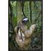 East Urban Home 'Brown-Throated Three-Toed Sloth Male' Framed Photographic Print on Canvas in Brown/Green | 18 H x 12 W x 1.5 D in | Wayfair