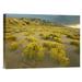 East Urban Home 'Sangre De Cristo Mountains at Great Sand Dunes National Monument' Photographic Print on Canvas in Green | Wayfair