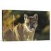 East Urban Home 'Mountain Lion or Cougar Adult Portrait' Photographic Print on Canvas in Brown | 16 H x 24 W x 1.5 D in | Wayfair URBH7656 38404150