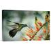 East Urban Home ' Violet-Ear Hummingbird Feeding' Photographic Print on Canvas in Green | 12" H x 18" W x 1.5" D | Wayfair URBH8306 38406565