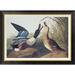 Global Gallery Shoveller Duck by John James Audubon - Picture Frame Graphic Art Print on Canvas Canvas, in White | 26 H x 36 W x 1.5 D in | Wayfair