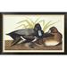 Global Gallery Scaup Duck by John James Audubon - Picture Frame Graphic Art Print on Canvas Canvas, in Gray | 29.2 H x 46 W x 1.5 D in | Wayfair