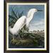 Global Gallery Snowy Heron by James Audubon - Picture Frame Print on Canvas Canvas, Cotton in White | 36 H x 30.92 W x 1.5 D in | Wayfair