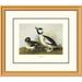 Global Gallery Buffel-Headed Duck by John James Audubon Framed Painting Print Paper | 26 H x 30 W x 1.5 D in | Wayfair DPF-132802-1620-102