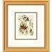 Global Gallery American Crossbill by John James Audubon Framed Painting Print Paper | 20 H x 18 W x 1.5 D in | Wayfair DPF-132786-0810-102