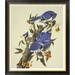 Global Gallery Blue Jay by John James Audubon - Picture Frame Print on Canvas Canvas, Cotton in White | 36 H x 30.9 W x 1.5 D in | Wayfair