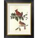 Global Gallery Cardinal Grosbeak by John James Audubon - Picture Frame Graphic Art Print on Canvas Canvas, in Black/Green | Wayfair