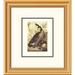 Global Gallery Canada Goose by John James Audubon Framed Painting Print Paper in Green | 20 H x 18 W x 1.5 D in | Wayfair DPF-132760-0810-102
