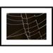 Global Gallery Spider Web w/ Beads of Dew, France by Cyril Ruoso Framed Photographic Print Paper in Black | 22 H x 1.5 D in | Wayfair