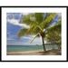 Global Gallery Palm Trees Line Penca Beach, Costa Rica by Tim Fitzharris Framed Photographic Print Paper in Blue/Green | 30 H x 1.5 D in | Wayfair