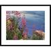 Global Gallery Fireweed Against Flowing Stream, North America by Tim Fitzharris Framed Photographic Print Paper in Blue | 24 H x 1.5 D in | Wayfair