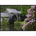 Global Gallery Rhododendron Blossoming at Mabry Mill, Blue Ridge Parkway, Virginia by Tim Fitzharris Framed Photographic Print on Canvas | Wayfair