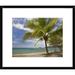 Global Gallery Palm Trees Line Penca Beach, Costa Rica by Tim Fitzharris Framed Photographic Print Paper in Blue/Green | 18 H x 1.5 D in | Wayfair