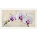 Global Gallery 'Royal Orchid' by Elena Dolci Framed Painting Print on Canvas in Green/Indigo | 14 H x 26 W x 1.5 D in | Wayfair GCF-378970-1224-245